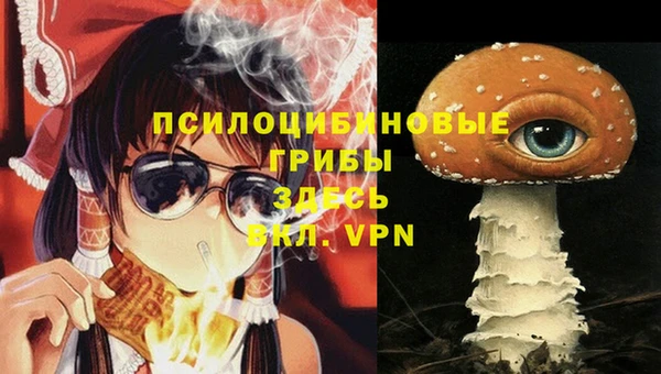 мет Богданович
