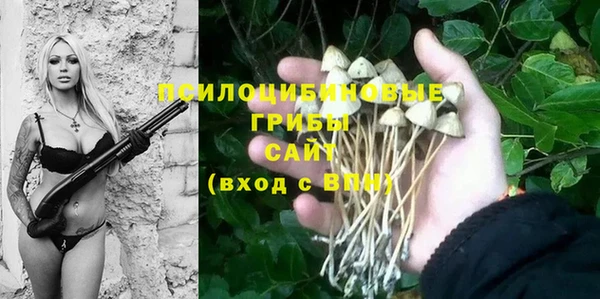 мескалин Богородицк