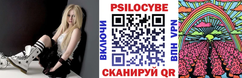 ОМГ ОМГ ТОР  Бутурлиновка  Галлюциногенные грибы Cubensis 